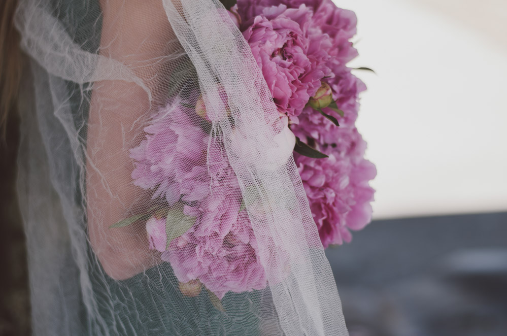 peonies (146 of 157)