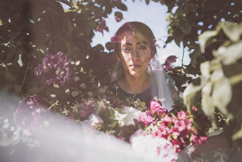 peonies (34 of 157)