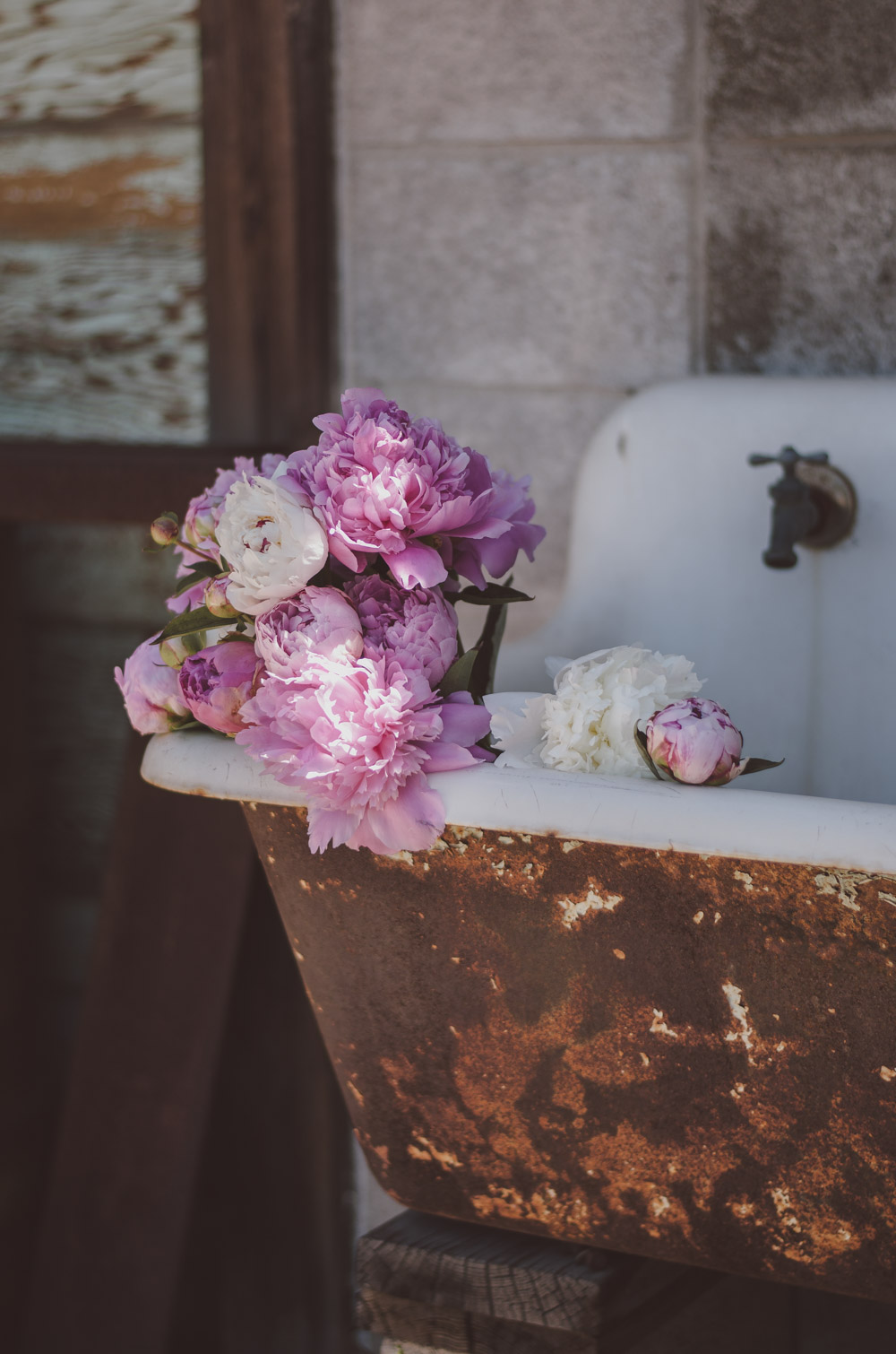 peonies (78 of 157)