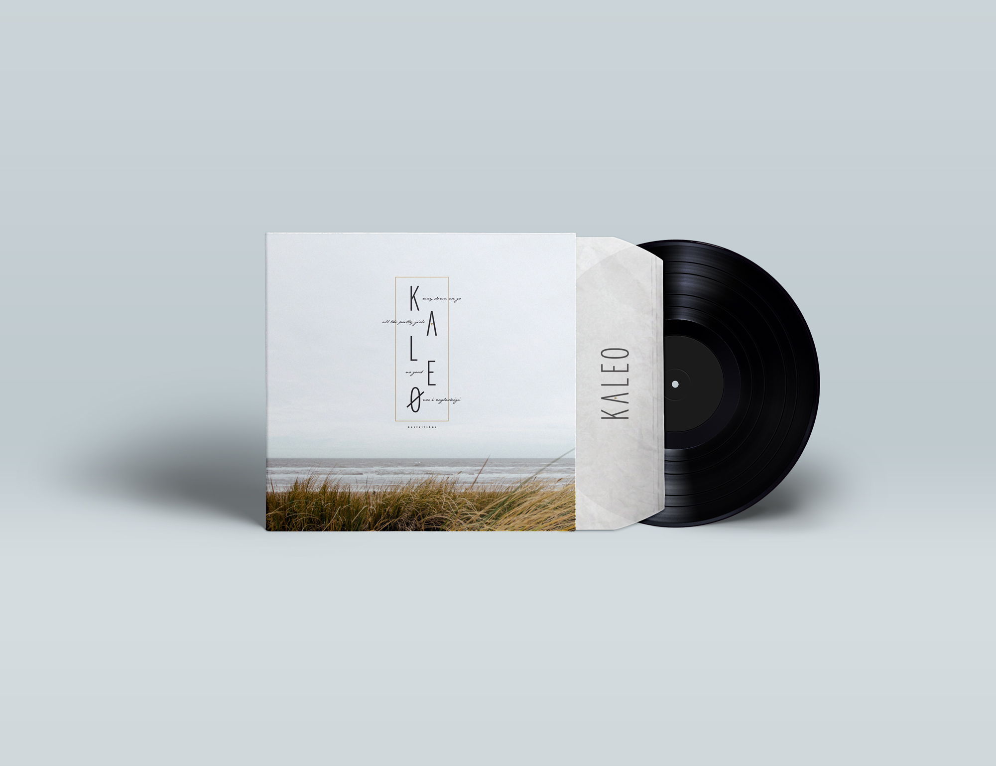 Vinyl-Record-and-Cover-Presentation-Mock-up